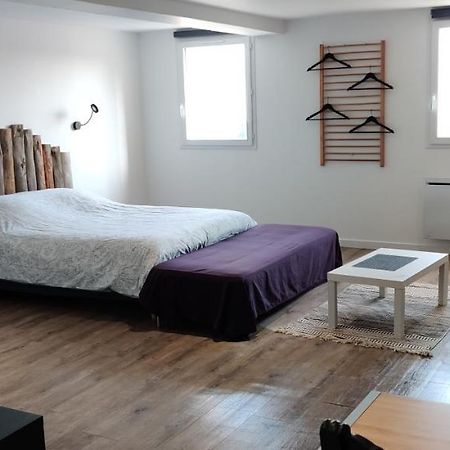 Studio Les Cadichons De La Grange 圣佩赖 外观 照片